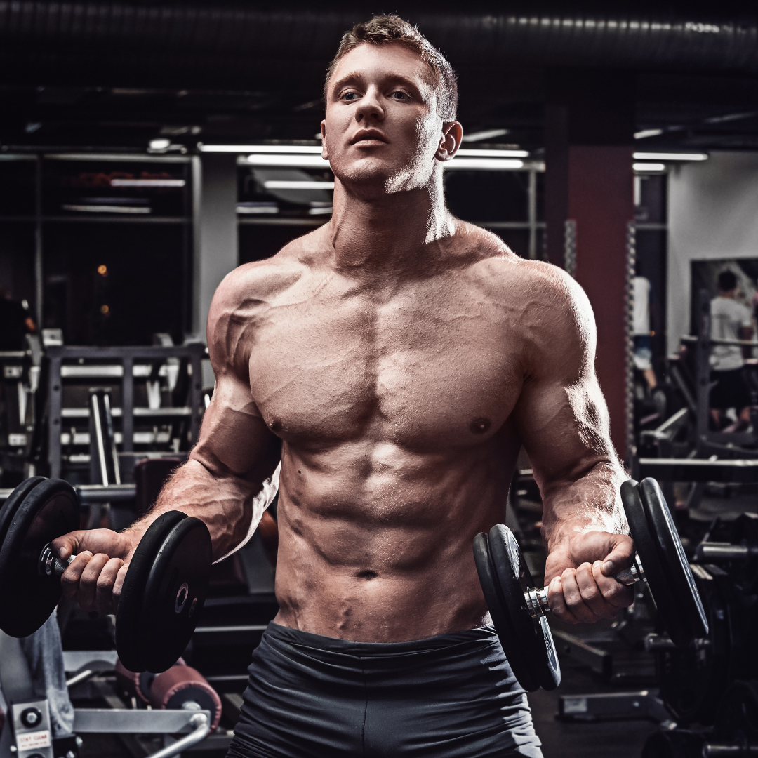 Build muscle