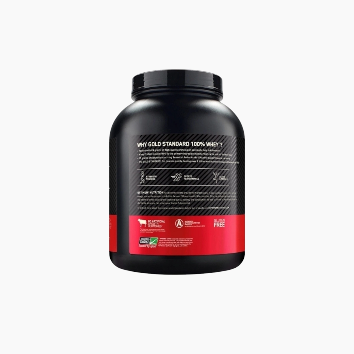 gold-standard-100-whey-double-rich-chocolate